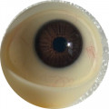 01  brown with viens  + $50.00 