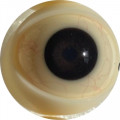 02 black with viens  + $50.00 