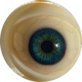 03 blue with viens  + $50.00 
