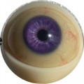 05 purple with viens  + $50.00 