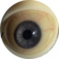 08 gray with viens  + $50.00 