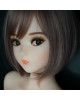 Doll House 168 - 2019 head only Doll House 168 - 2019 head only
