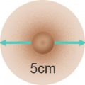 5cm 