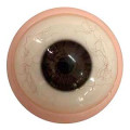 full eye ball with viens  + $60.00 